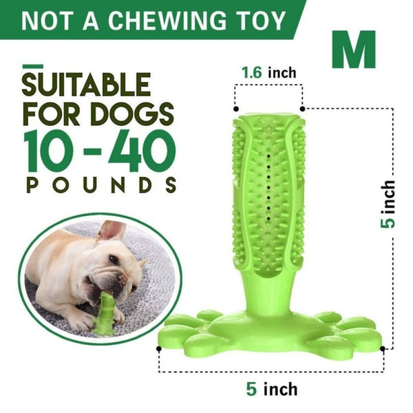Dog Toothbrush Toy