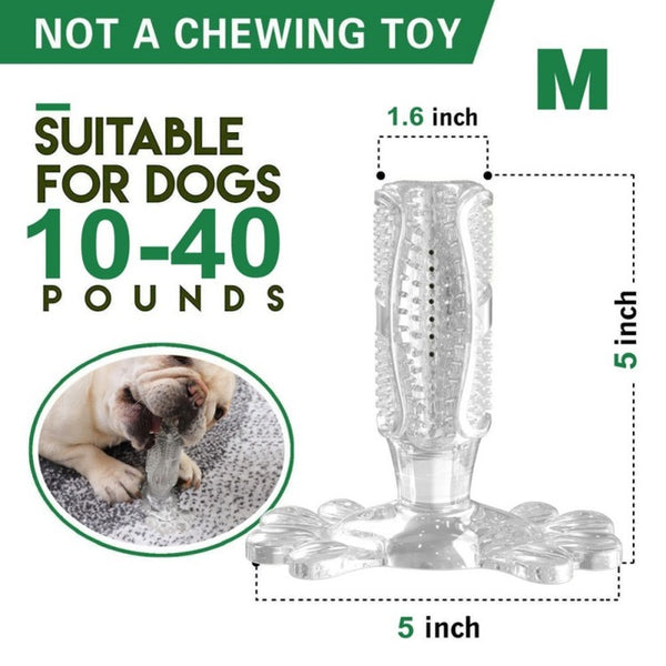 Dog Toothbrush Toy