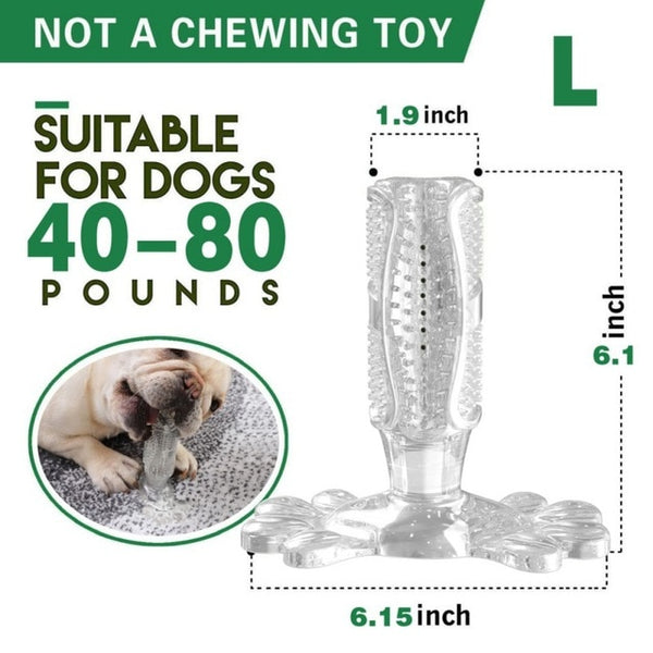 Dog Toothbrush Toy