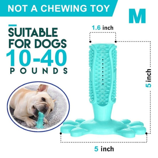 Dog Toothbrush Toy