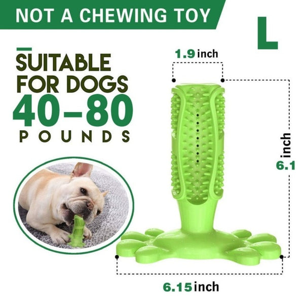 Dog Toothbrush Toy