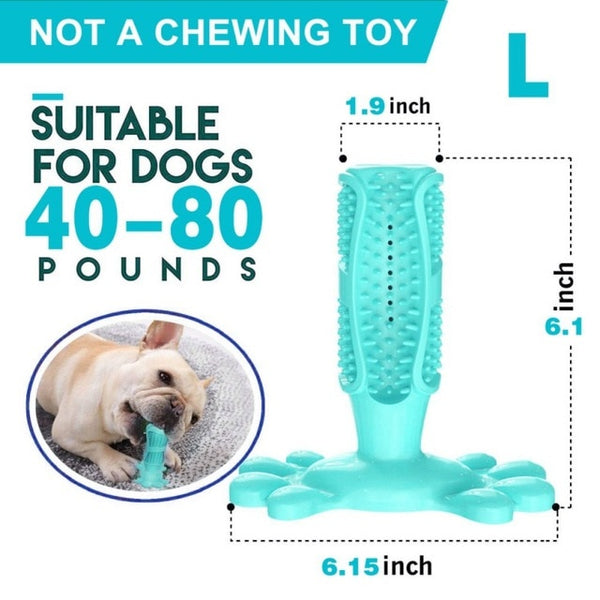 Dog Toothbrush Toy