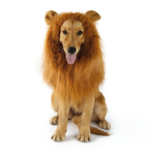 Costume Dogs Lion