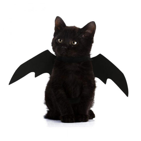 Cat Bat Wing Cosplay Prop Halloween